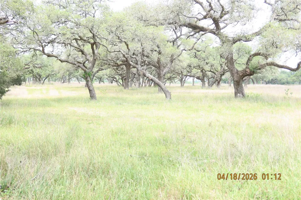 Rail Head Road Columbus, TX 78934