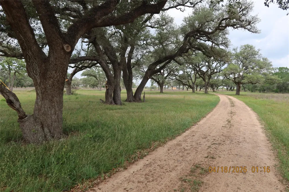 Rail Head Road Columbus, TX 78934