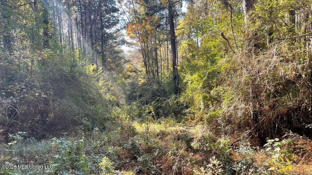 Delaware Avenue Mccomb, MS 39648