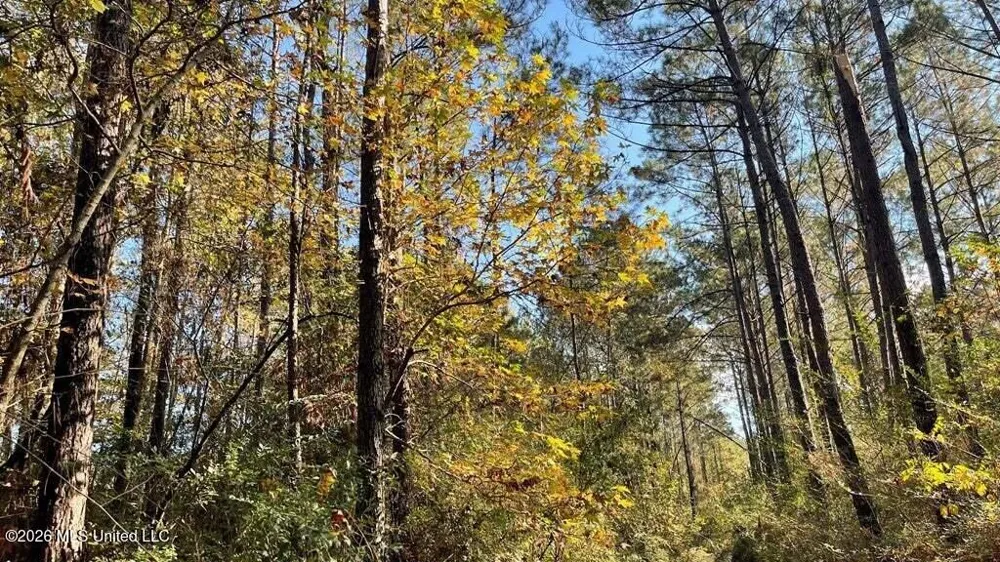 Delaware Avenue Mccomb, MS 39648