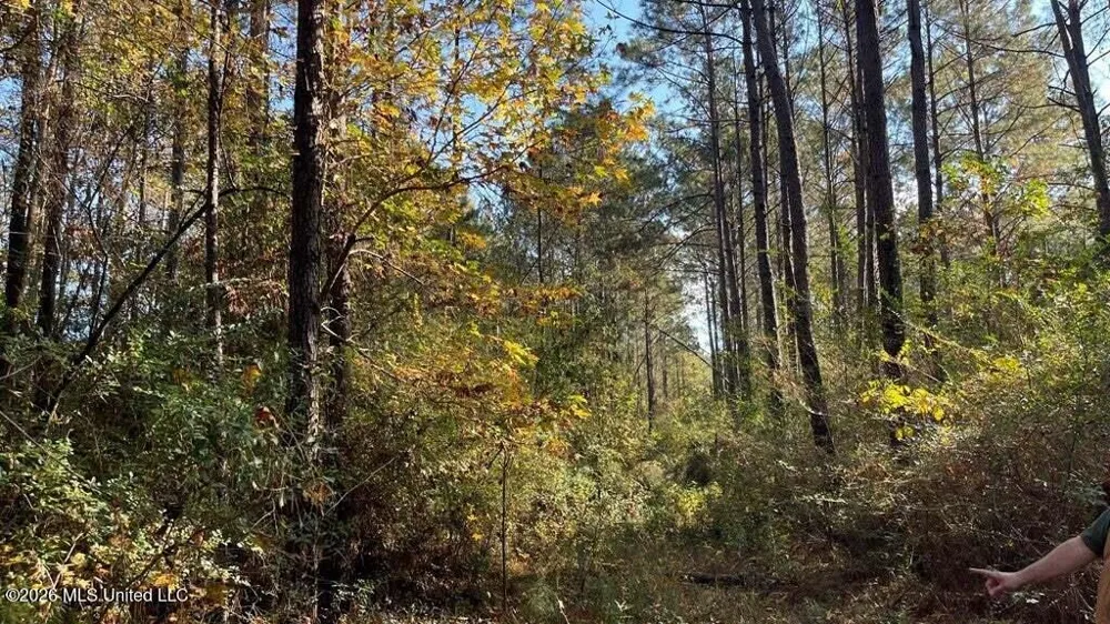 Delaware Avenue Mccomb, MS 39648