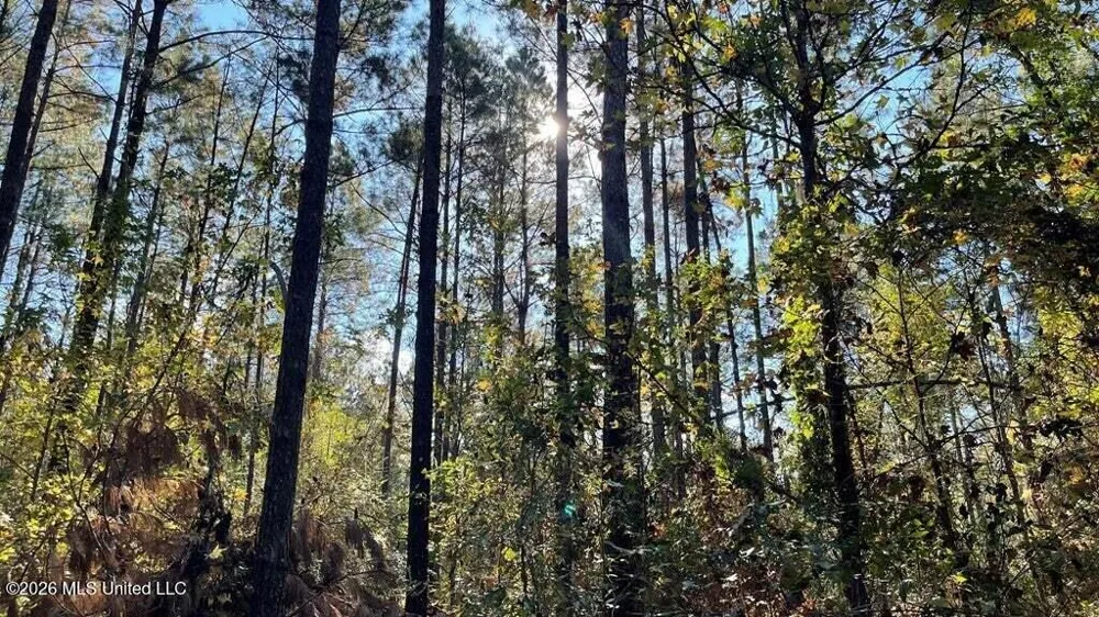 Delaware Avenue Mccomb, MS 39648