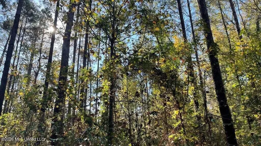 Delaware Avenue Mccomb, MS 39648