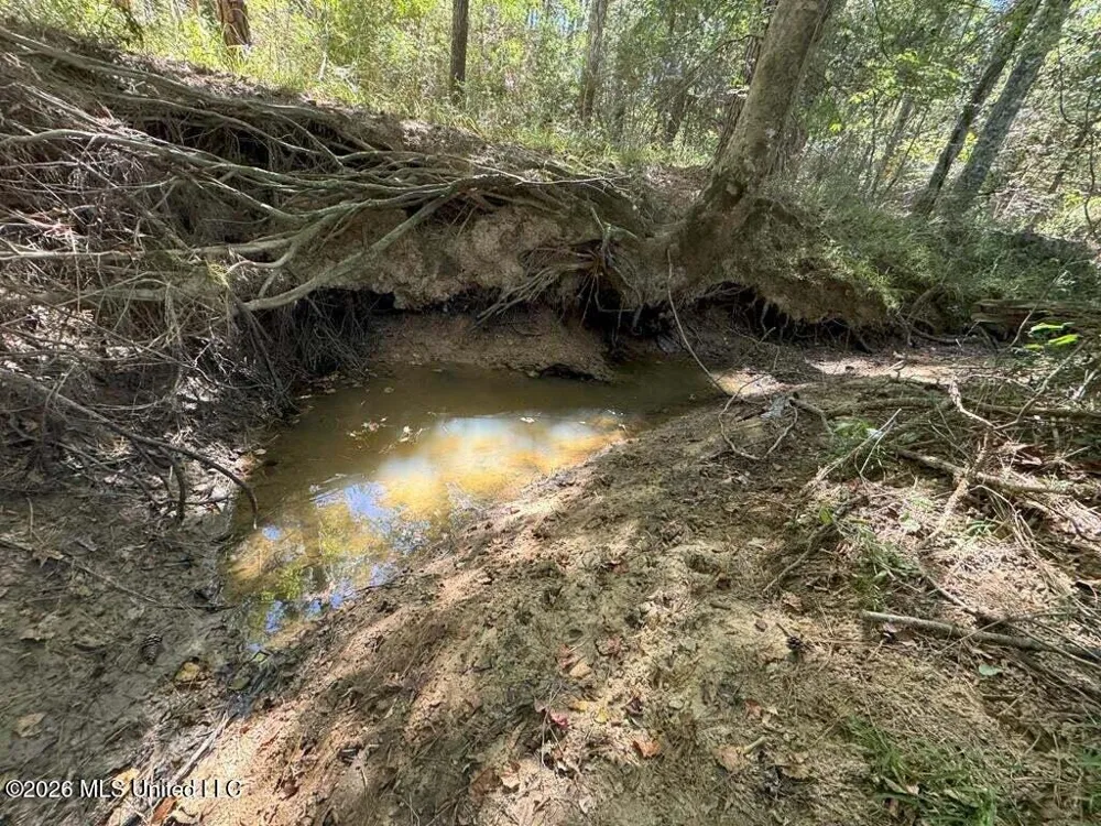 Delaware Avenue Mccomb, MS 39648