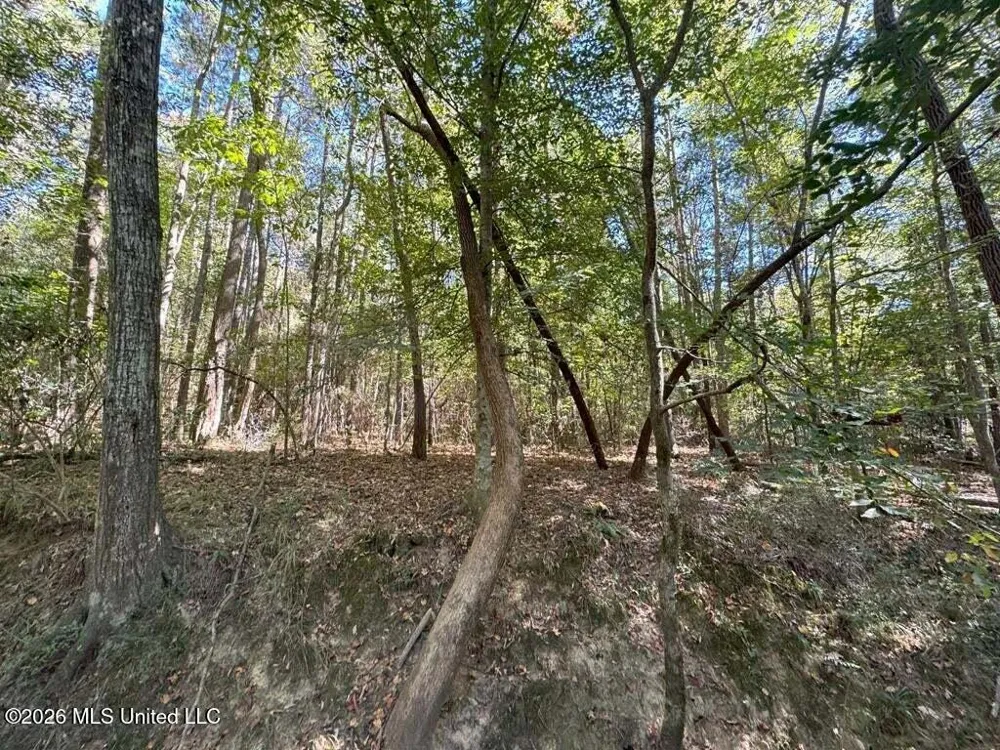 Delaware Avenue Mccomb, MS 39648