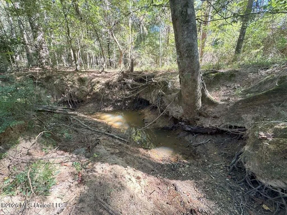 Delaware Avenue Mccomb, MS 39648