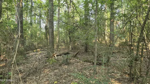 000 Alabama Street