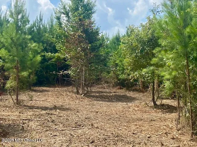 County Line Road Summit, MS 39666