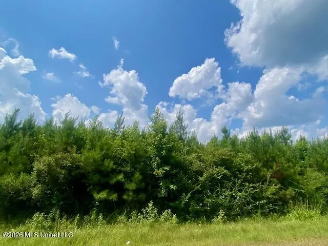 County Line Road Summit, MS 39666