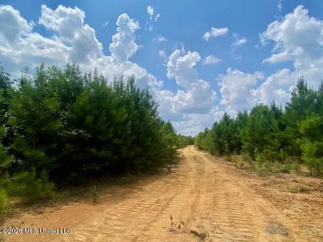 County Line Road Summit, MS 39666