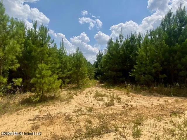 County Line Road Summit, MS 39666