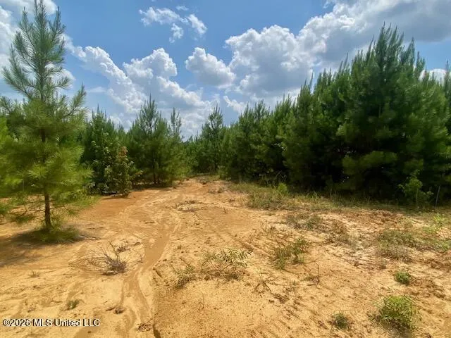 County Line Road Summit, MS 39666