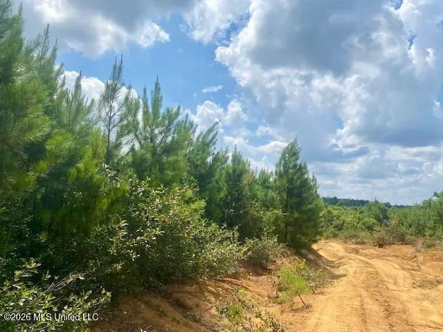 County Line Road Summit, MS 39666