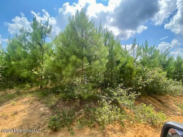 County Line Road Summit, MS 39666