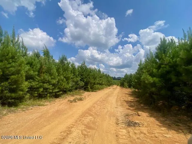 County Line Road Summit, MS 39666