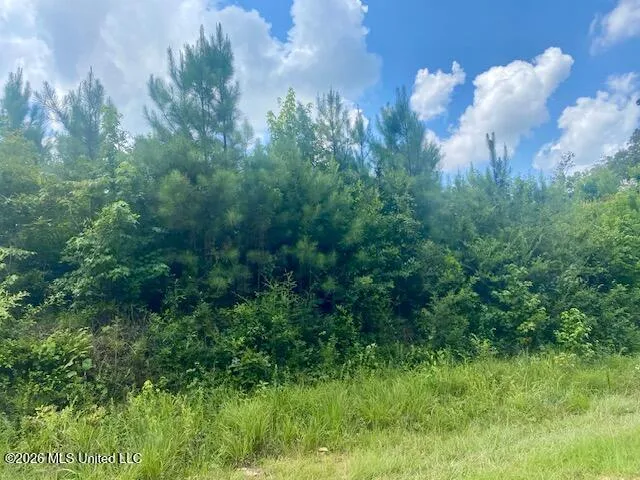 County Line Road Summit, MS 39666
