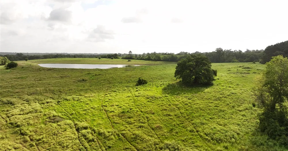 65 Old Highway 105 Plantersville, TX 77363