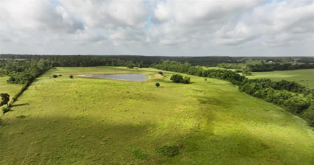 65 Old Highway 105 Plantersville, TX 77363