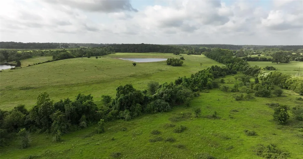 65 Old Highway 105 Plantersville, TX 77363