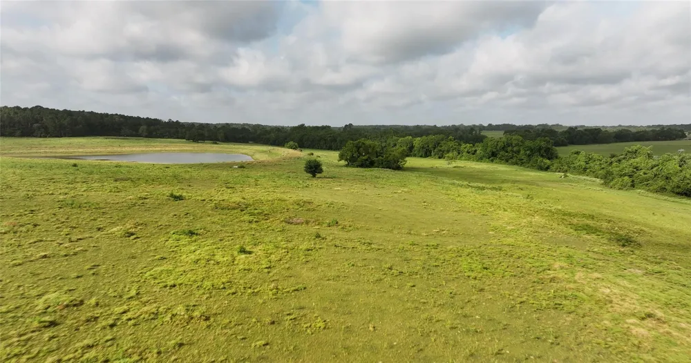 65 Old Highway 105 Plantersville, TX 77363