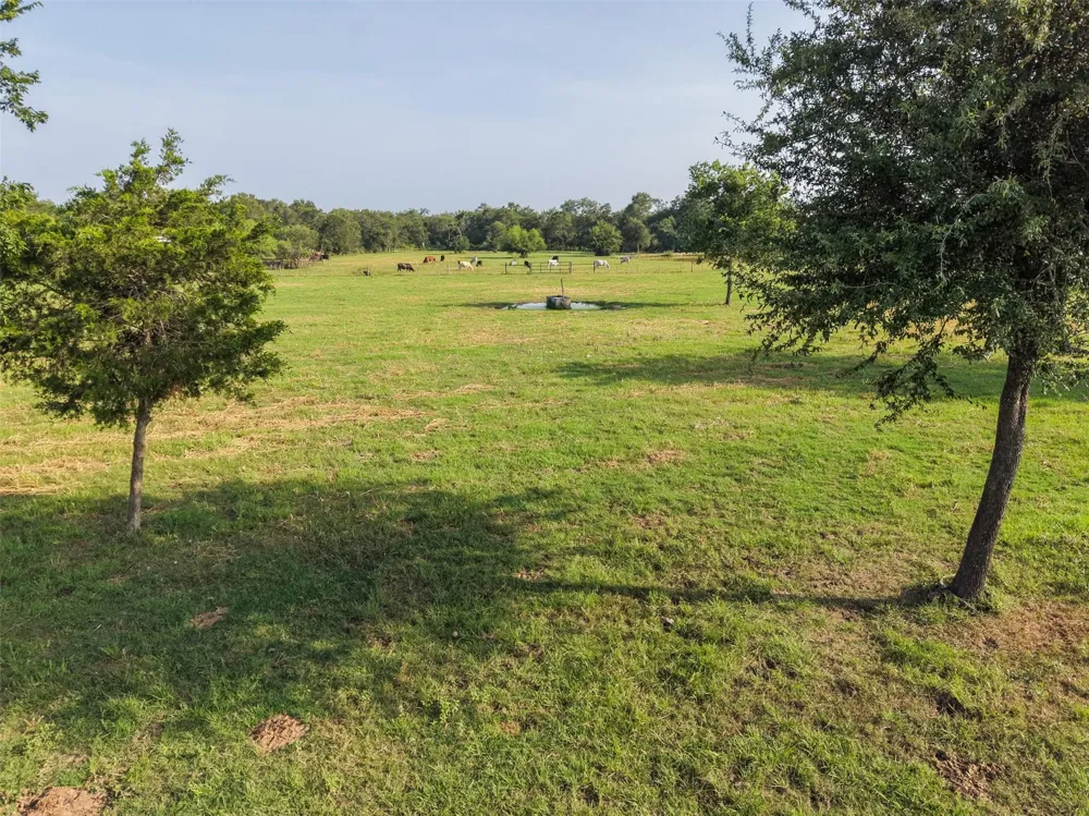 4140 Brown College Lane Washington, TX 77880