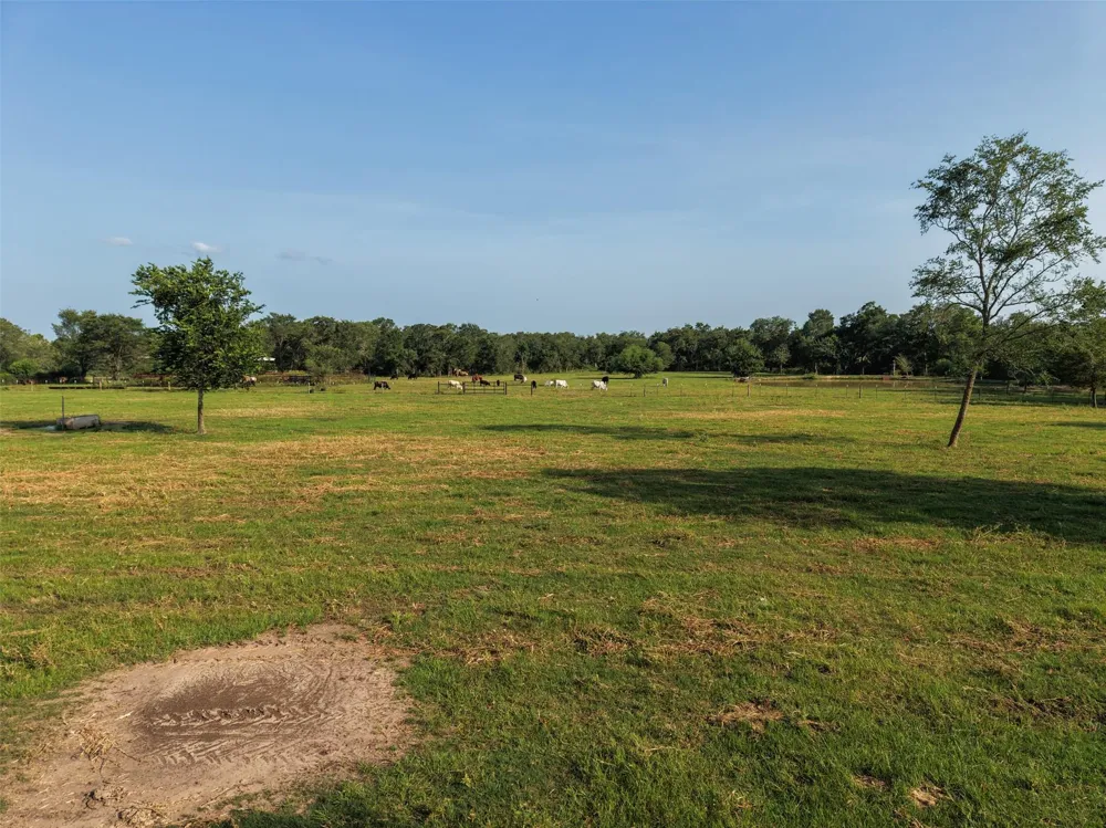 4140 Brown College Lane Washington, TX 77880