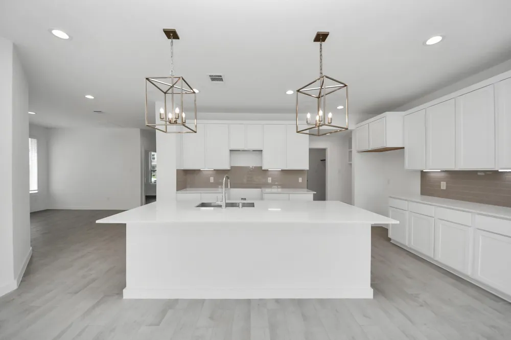 14907 Diamond Dove Lane Houston, TX 77049
