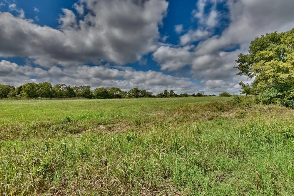 Loop 497 Kenney, TX 77418