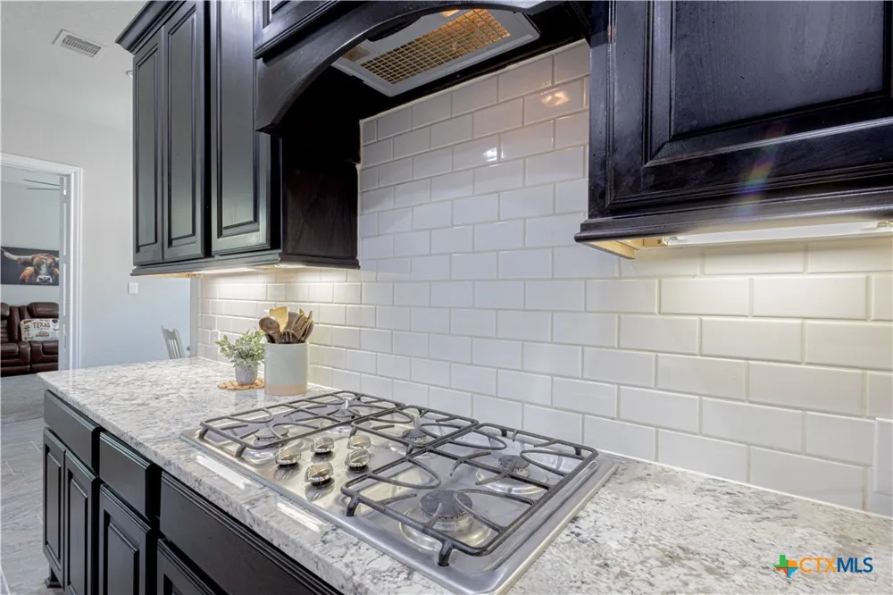 2620 Malboona Mews Drive New Braunfels, TX 78132