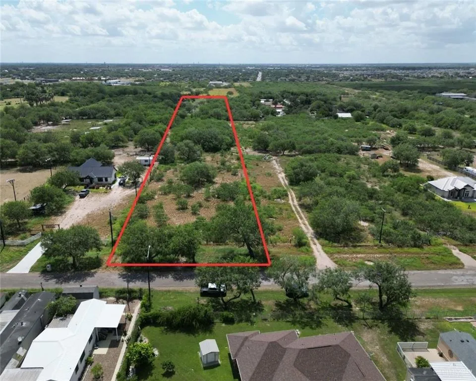 1915 Tordillo Road Palmview, TX 78572