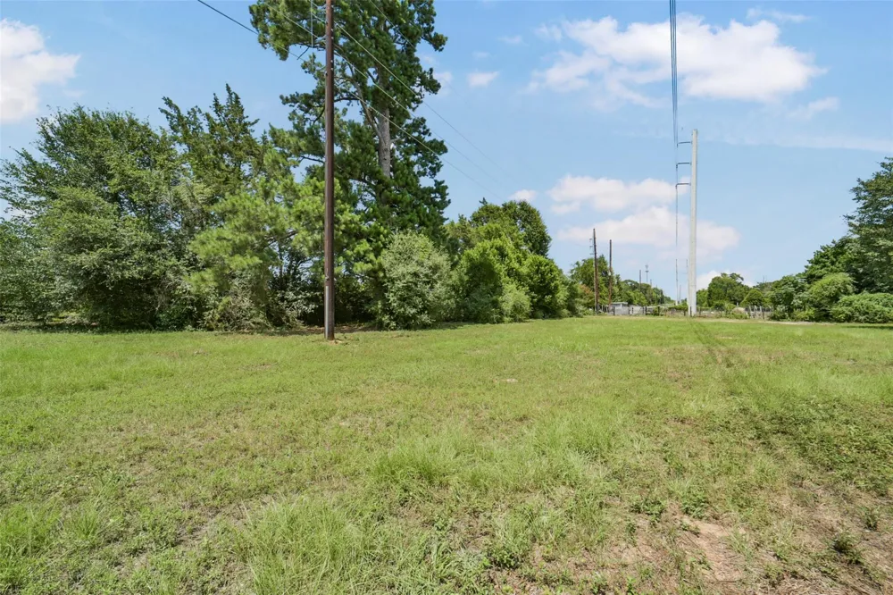 17719 Willow Run Street Hockley, TX 77447