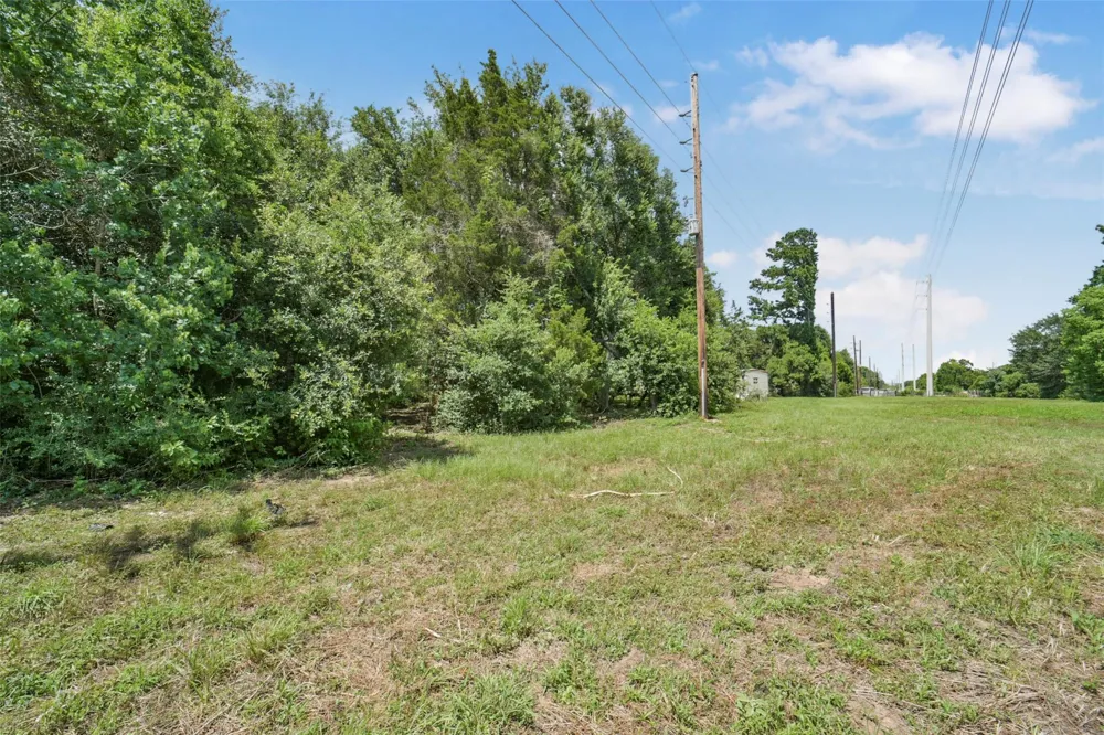 17719 Willow Run Street Hockley, TX 77447