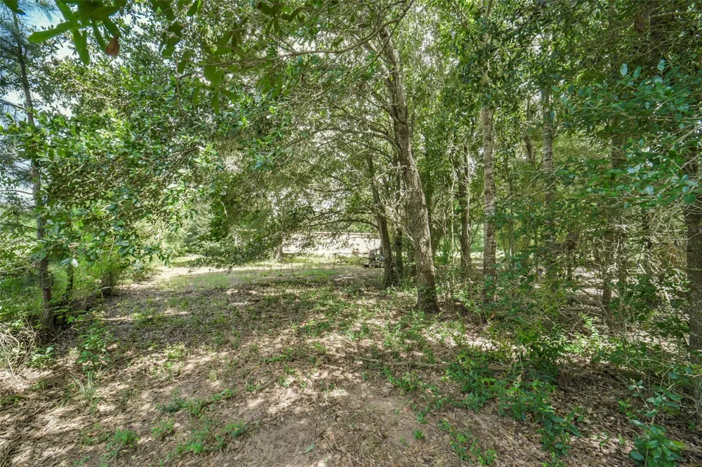 17719 Willow Run Street Hockley, TX 77447