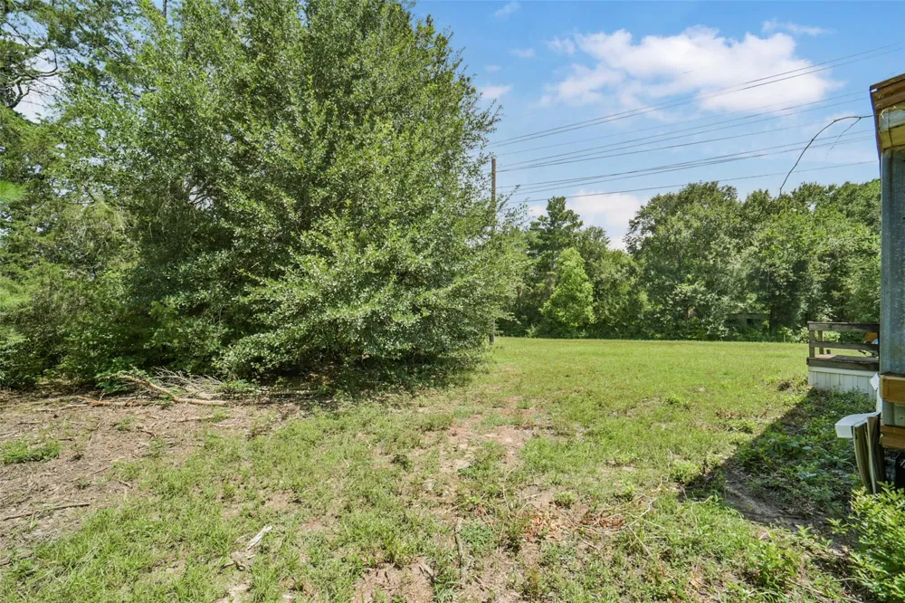 17719 Willow Run Street Hockley, TX 77447