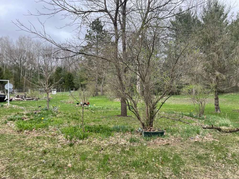 16206 Peters Farm Road Irons, MI 49644