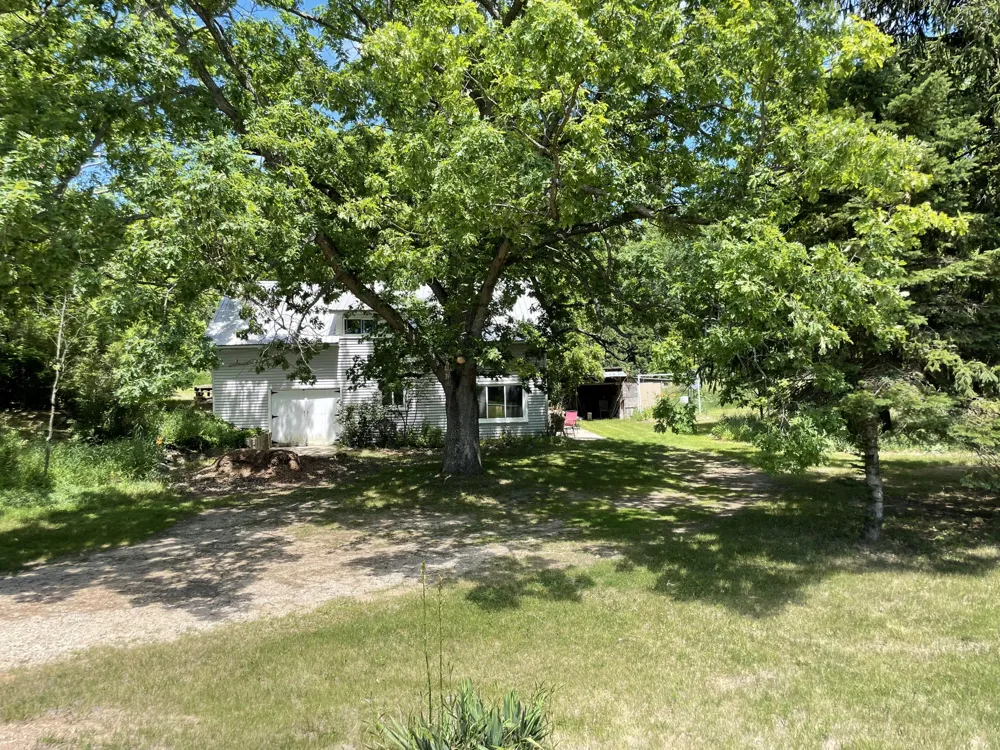 16206 Peters Farm Road Irons, MI 49644
