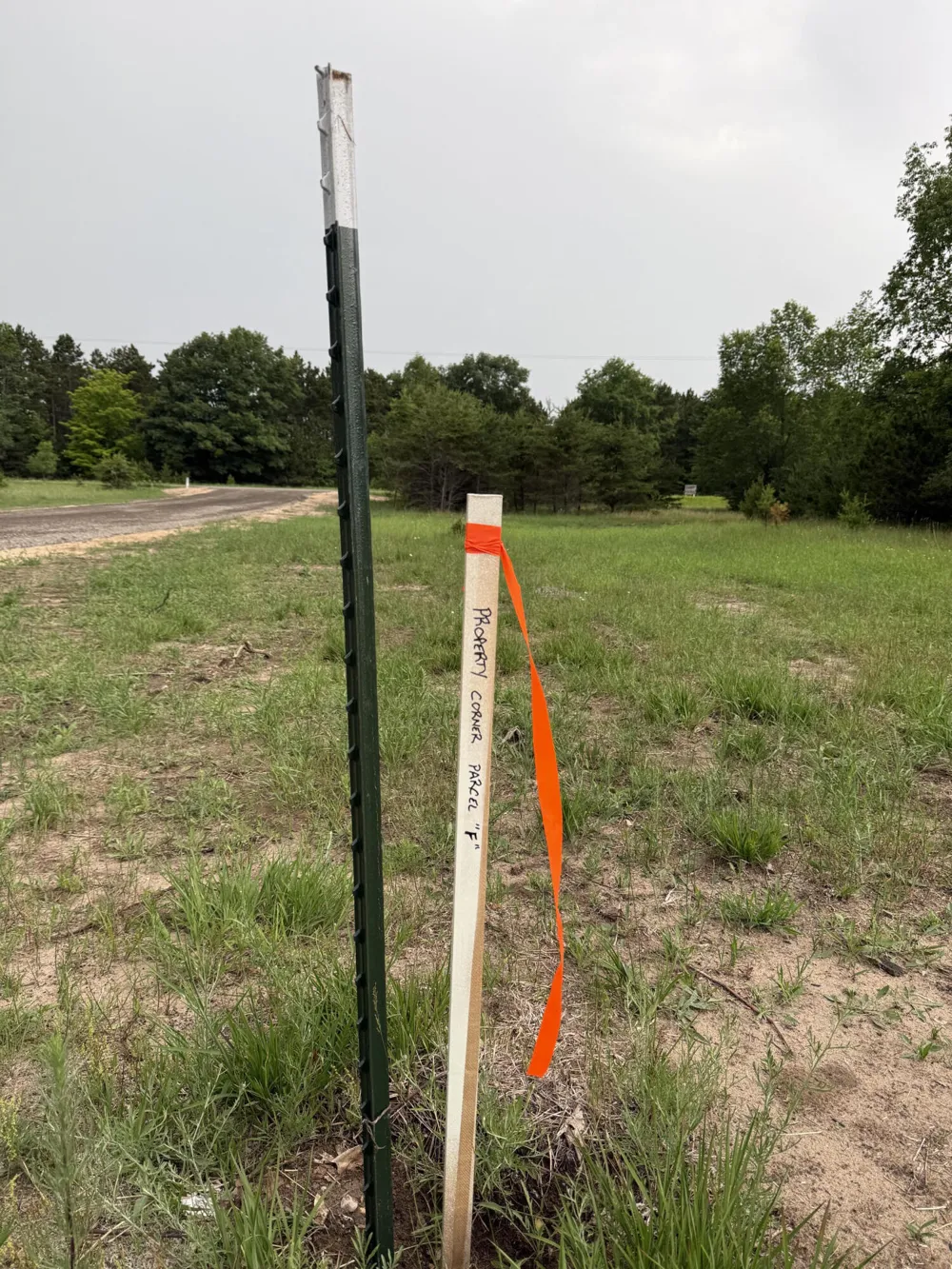 Sadie Ln #Parcel 'F' Bear Lake, MI 49614
