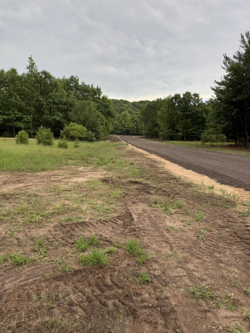 Sadie Ln #Parcel 'F' Bear Lake, MI 49614