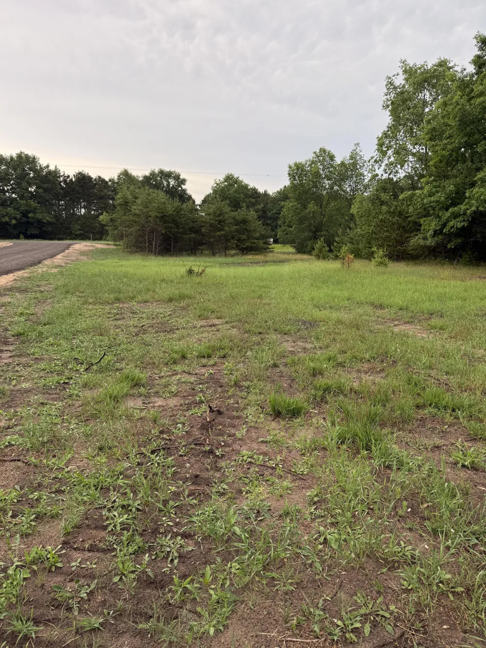 Sadie Ln #Parcel 'F' Bear Lake, MI 49614
