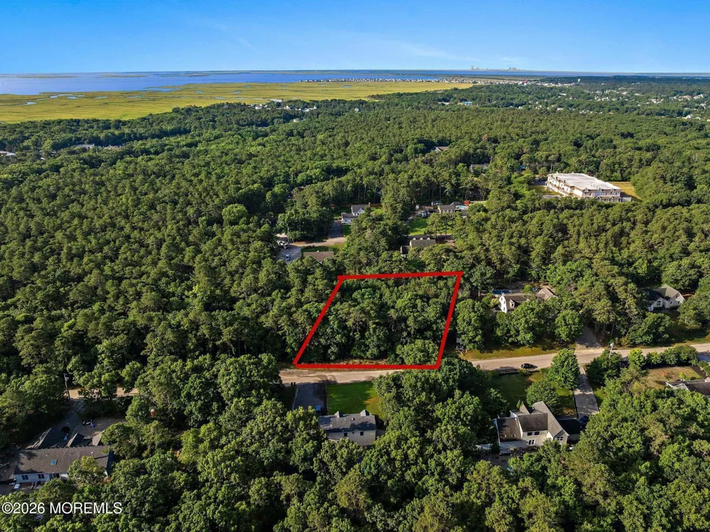20 Maplewood Drive Little Egg Harbor, NJ 08087