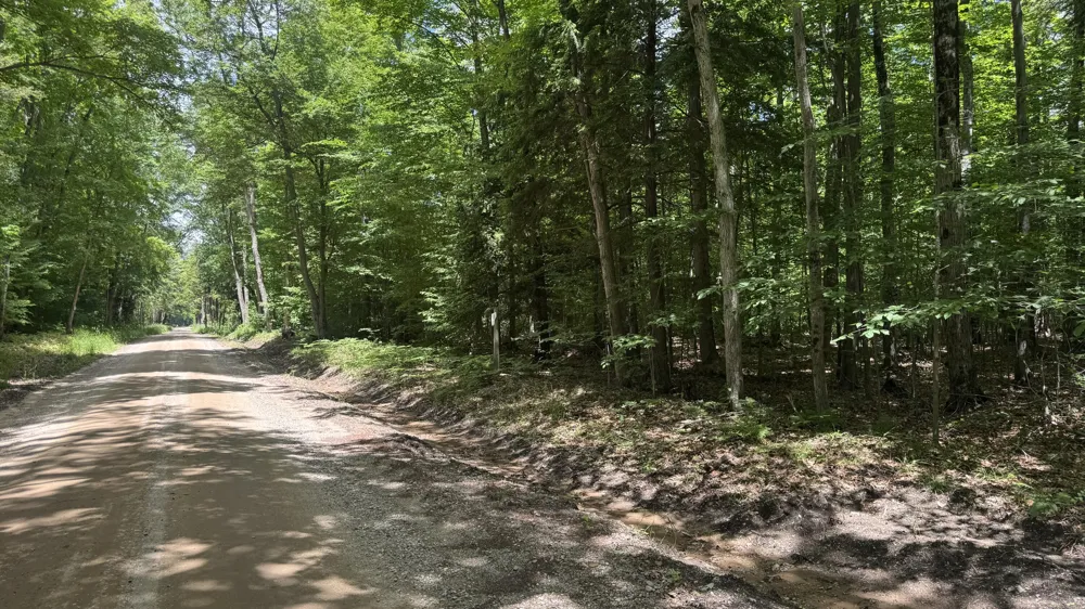 S 35 ROAD Cadillac, MI 49601