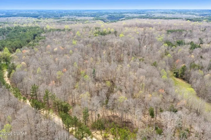 5800 Bible Grove Rd Lexington, TN 38351
