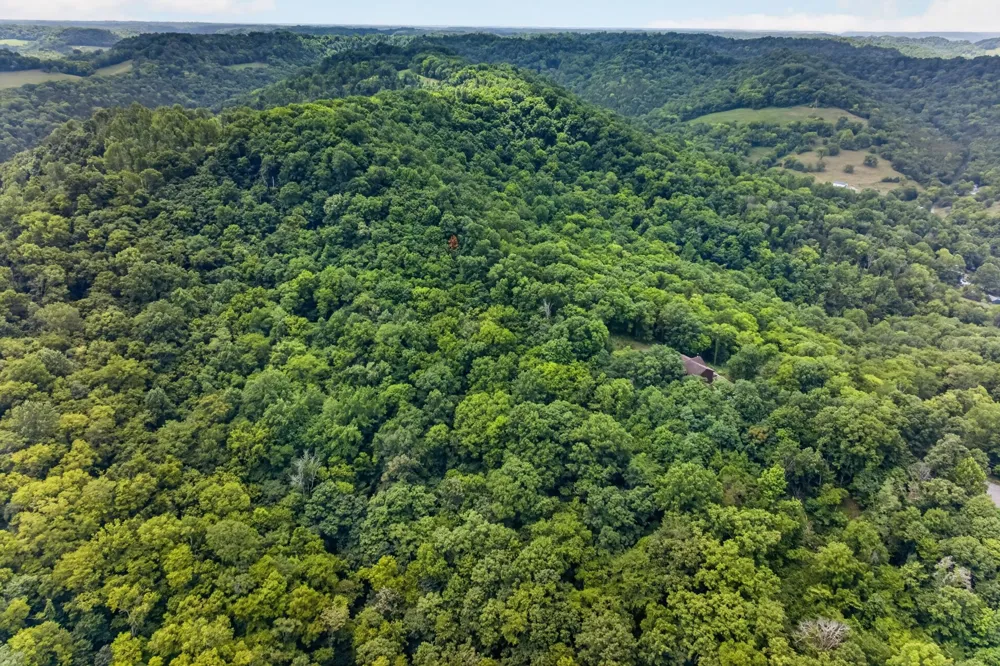 20 Magee Ln Elmwood, TN 38560