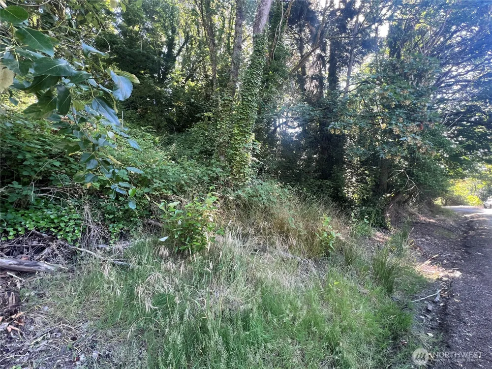 0 Allen Drive Kelso, WA 98626