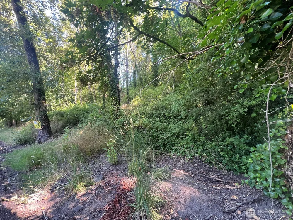 0 Allen Drive Kelso, WA 98626