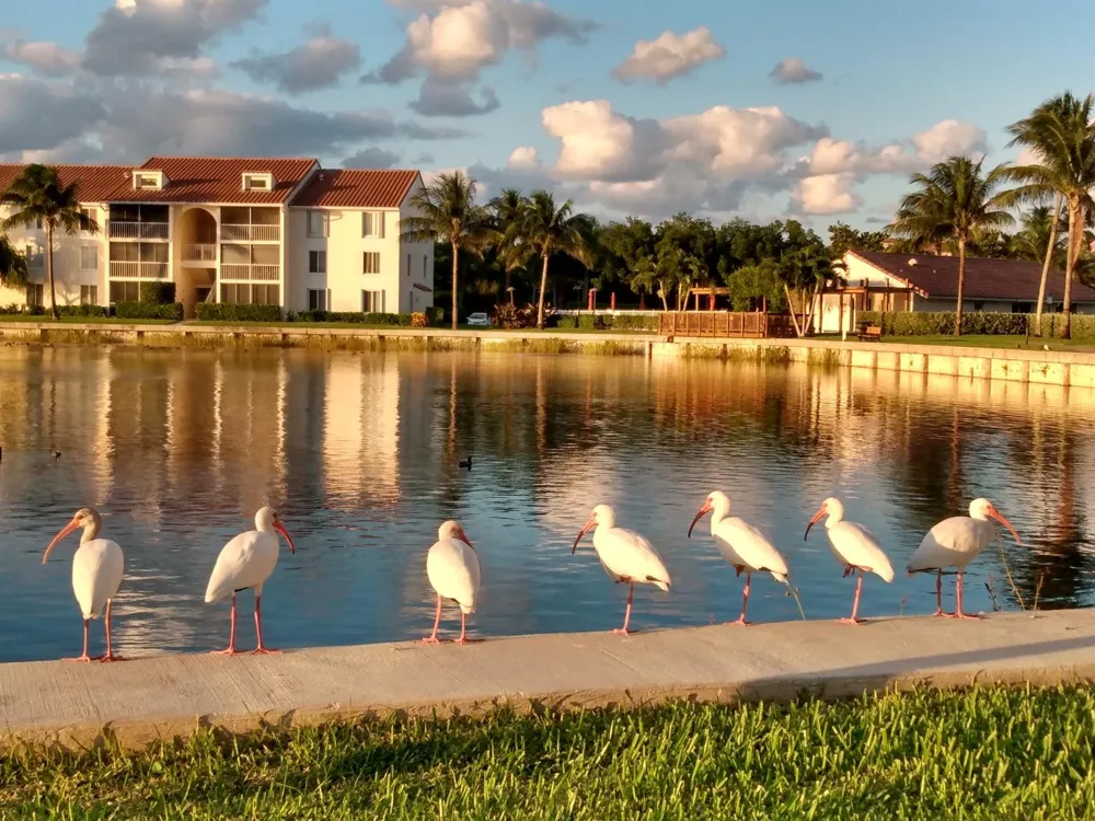 4436 NE Ocean Boulevard #E2 Hutchinson Island, FL 34957