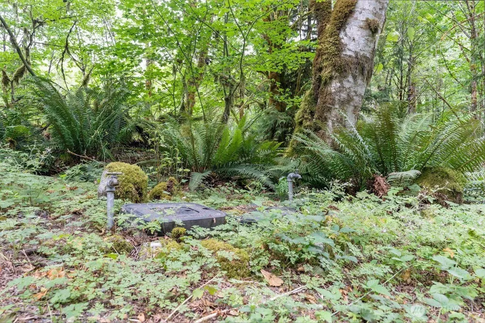 872 High Ridge Drive Marblemount, WA 98267