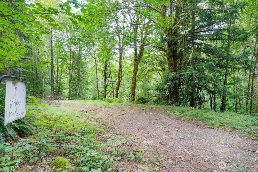872 High Ridge Drive Marblemount, WA 98267