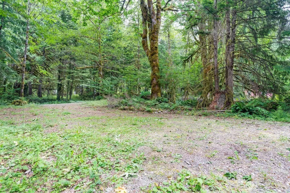 872 High Ridge Drive Marblemount, WA 98267