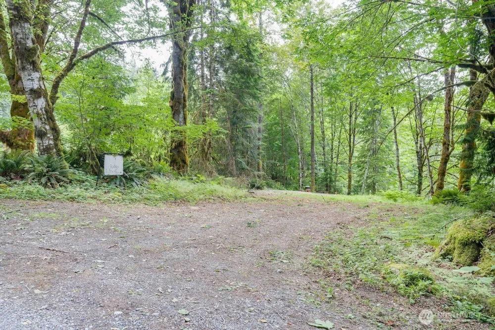 872 High Ridge Drive Marblemount, WA 98267